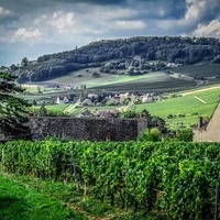 Монтаньи-ле-Бюкси