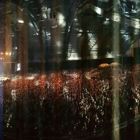 Nordland Hall, Буде