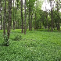 Юг Парк Тауншип, Пенсильвания