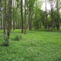 Юг Парк Тауншип, Пенсильвания