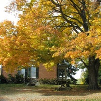 Белмонт, Огайо