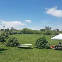 Tempe Meadows, Темпе, Аризона