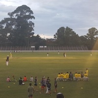 Wade Park, Ориндж