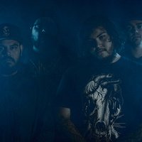 One Vote For Violence