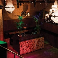 Claire, Амстердам