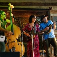 Doodad Farm, Гринсборо, Северная Каролина