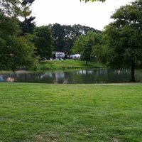 Timber Linn Memorial Park, Олбани, Орегон