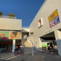 Bears Dainichi, Осака