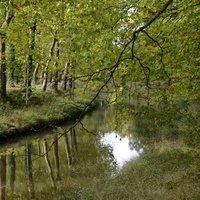 Монсо-ле-Комт