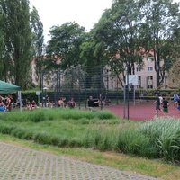 Novitatis, Дрезден