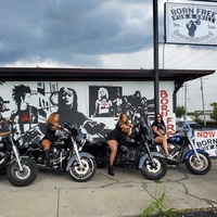 Born Free Pub & Grill, Тампа, Флорида