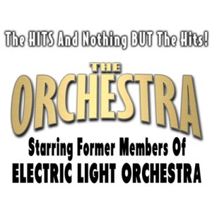 Концерт группы The Orchestra Starring ELO Former Members 27.10.2023 в Джонстауне, Пенсильвания
Концерт группы The Orchestra Starring ELO Former Members 27.10.2023 в Джонстауне, Пенсильвания