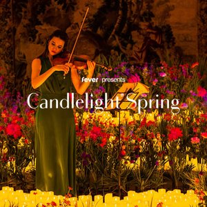 Концерт группы Candlelight: A Tribute to The Beatles 13.06.2025 в Уэст-Палм-Бич, Флорида
Концерт группы Candlelight: A Tribute to The Beatles 13.06.2025 в Уэст-Палм-Бич, Флорида
