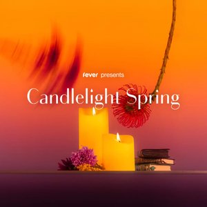 Концерт группы Candlelight: A Tribute to Coldplay & Ed Sheeran 06.04.2025 в Вроцлаве
Концерт группы Candlelight: A Tribute to Coldplay & Ed Sheeran 06.04.2025 в Вроцлаве