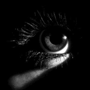 Состав участников и информация о фестивале Into The Dark Fest 2021
Into The Dark Fest 2021